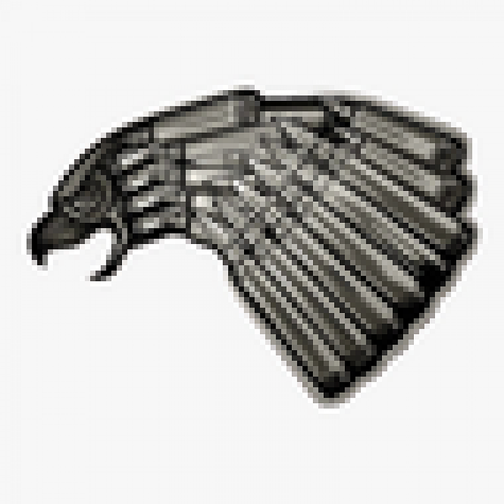 nighthawks-2-team-100150-sportsa