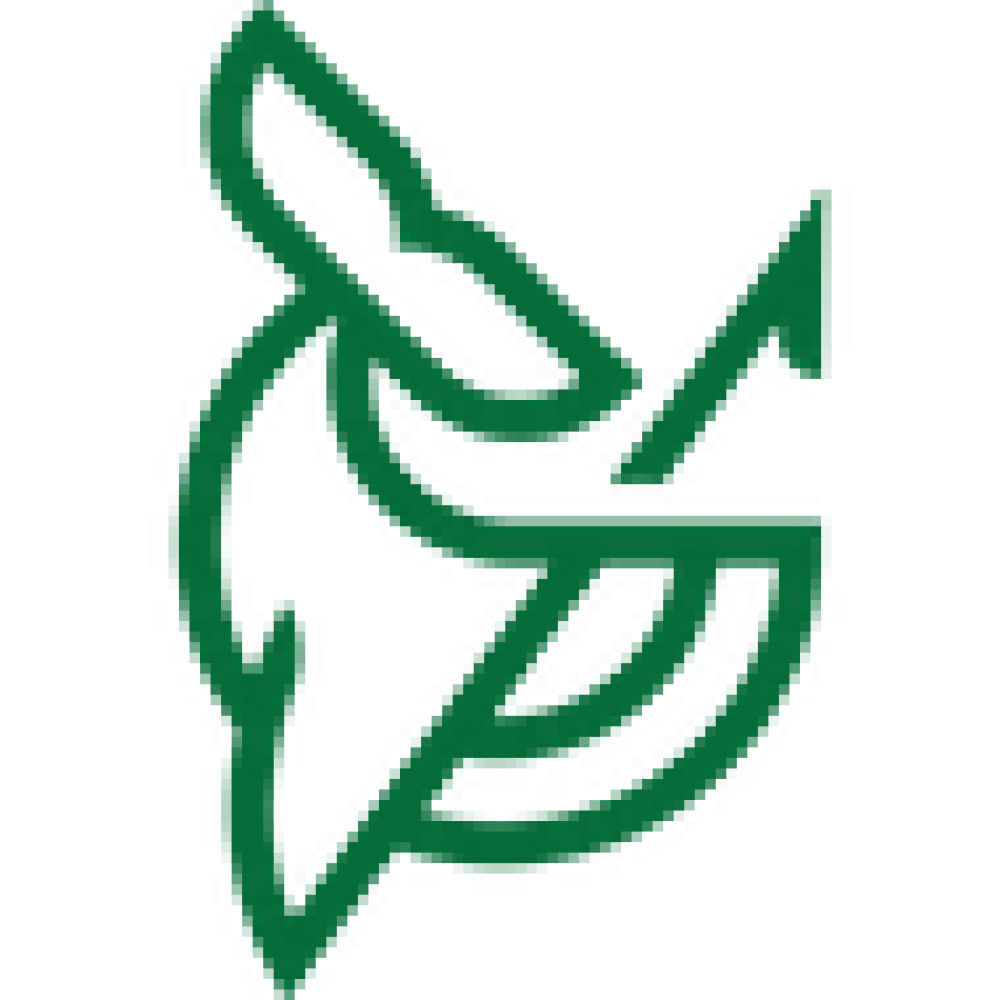 whalers-team-100159-sportsa