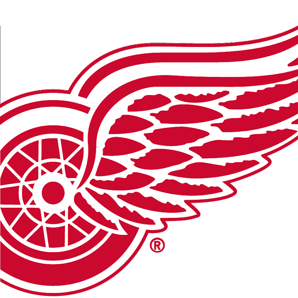 Detroit Red Wings Team 30 Sportsa detroit-red-wings-team-30-sportsa